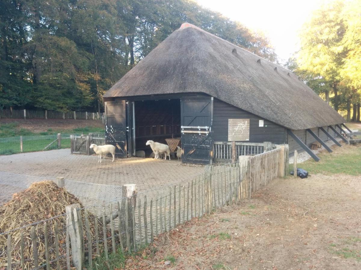 Chalet Hoenderloo Beuk Exterior foto